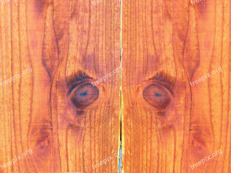 Wood Background Wood Background Fence Eyes