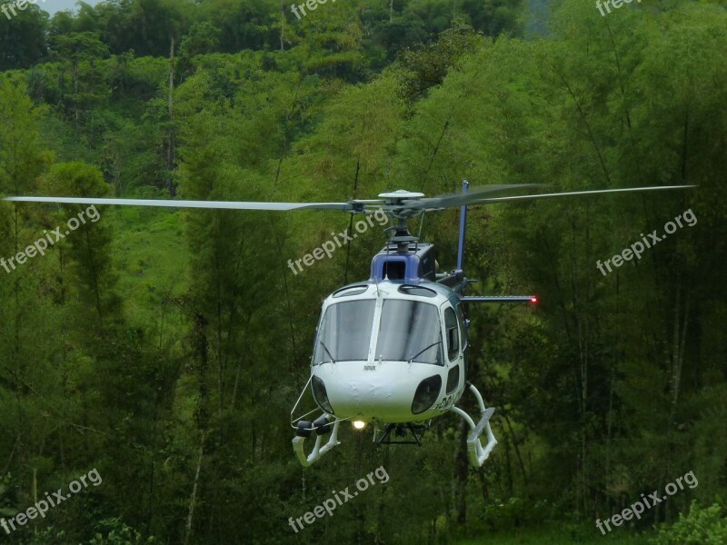 Helicopter Flight Jungle Fly Green