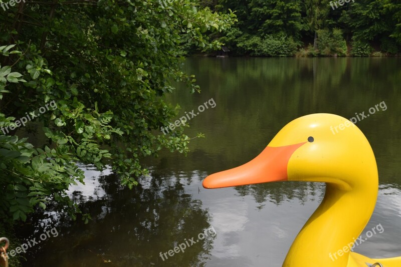 Duck Pond Pedal Boat Water Yellow