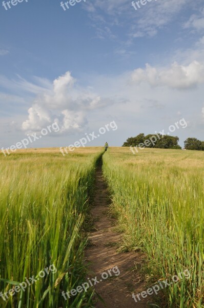 Nature Wide Sky Horizon Infinite