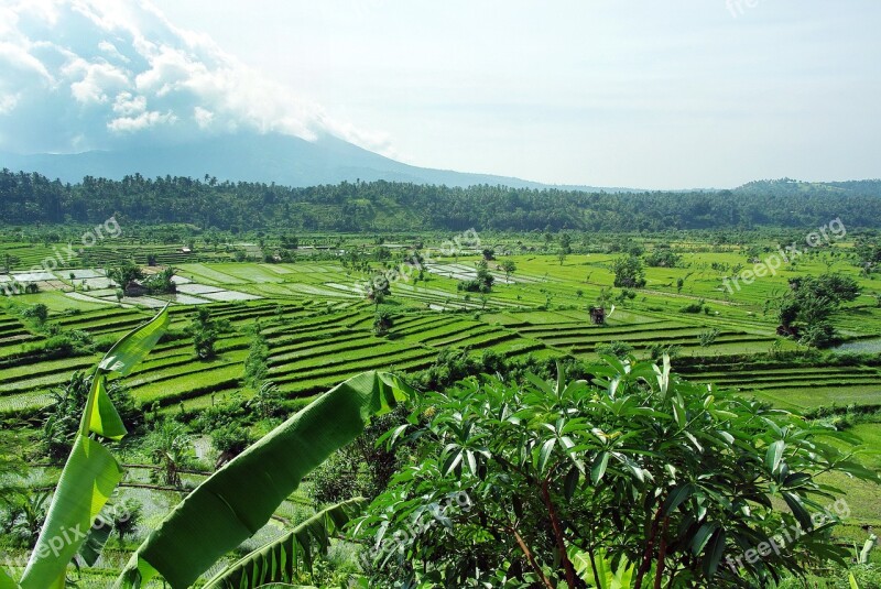 Indonesia Bali Rice Volcano Mount Agung