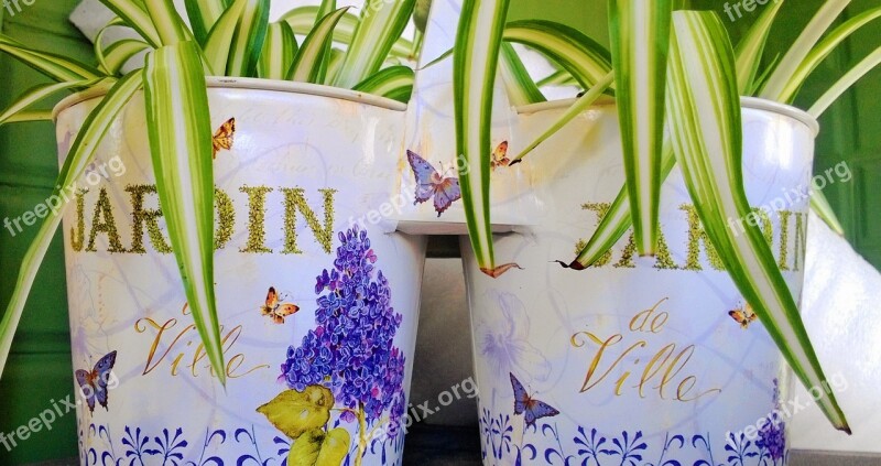 Garden Gardening Spring Vases Plants