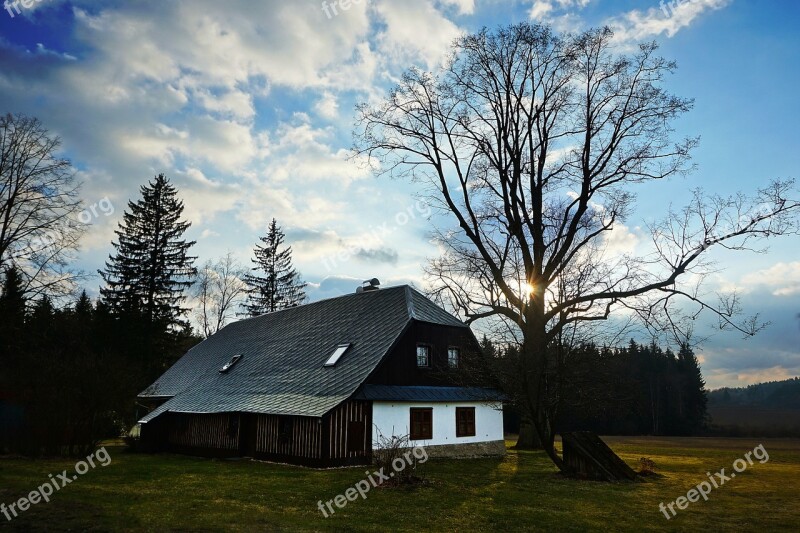 Cottage The Vysočina Region Tree Backlight Sun