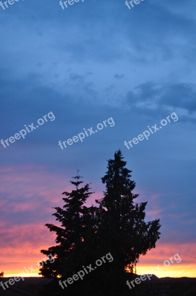 Sky Sunset Tree Cloud Sunset Sky