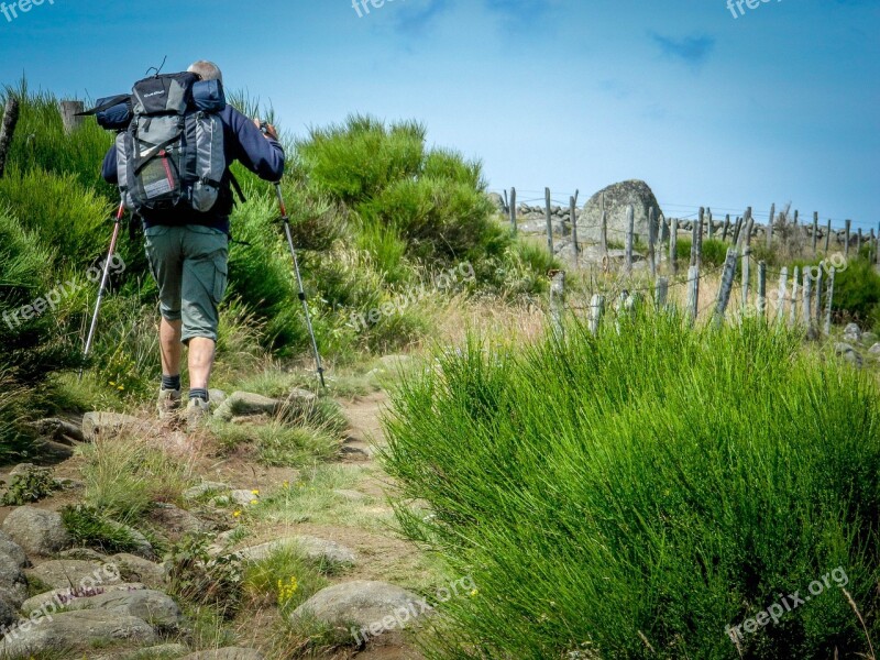 Hiker Aubrac Path Compostelle Walker