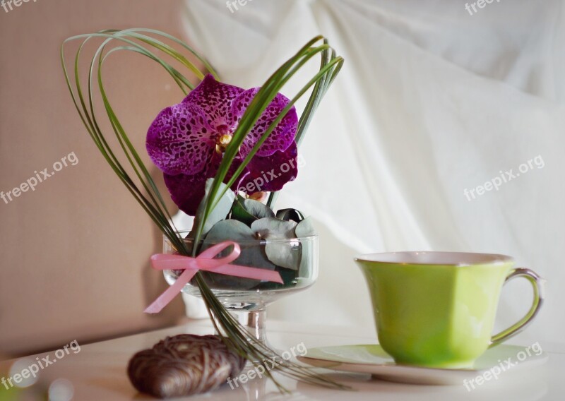 Decoration Orchidea Cup Flower Retro