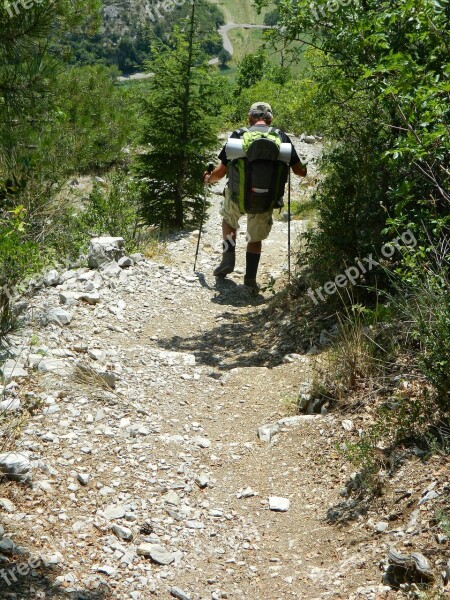 Hiker Path Hiking Compostelle Nature