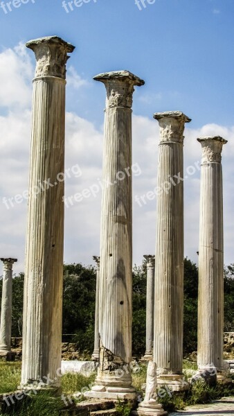 Cyprus Salamis Pillar Corinthian Column