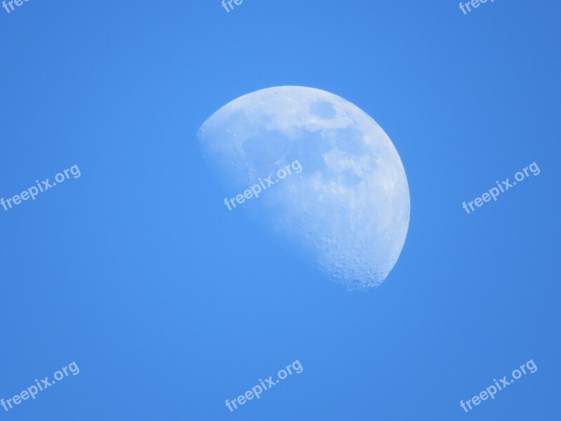 Blue Moon Daytime Moon Moon Blue Sky