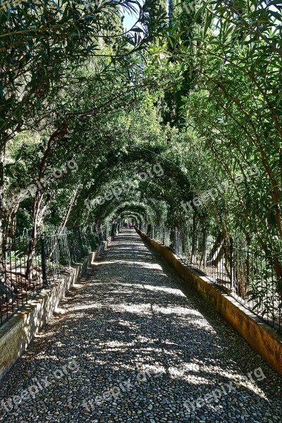 Path Greenery Landscape Tranquil Garden