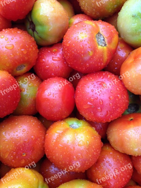 Vegetable Tomato Fresh Vegetables Free Photos