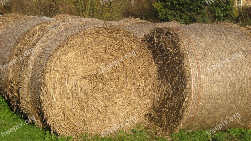 Hay Bales Summer Countryside Rural Farm