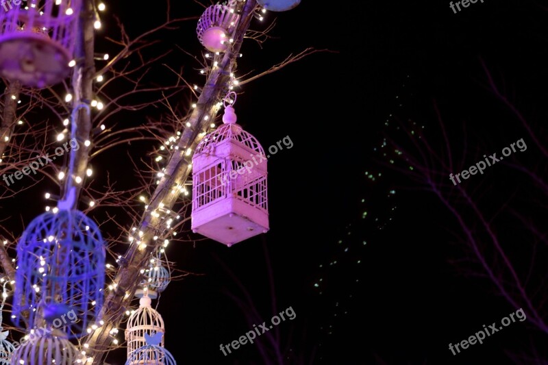 Ornament Qingdao Provence Lights Outdoors Light