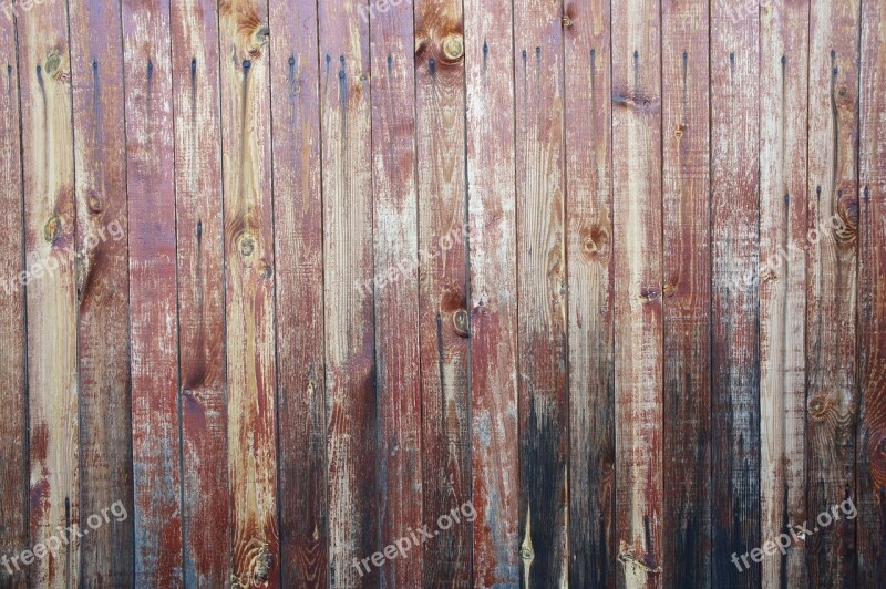 Tree Texture Wood Texture Boards Brown