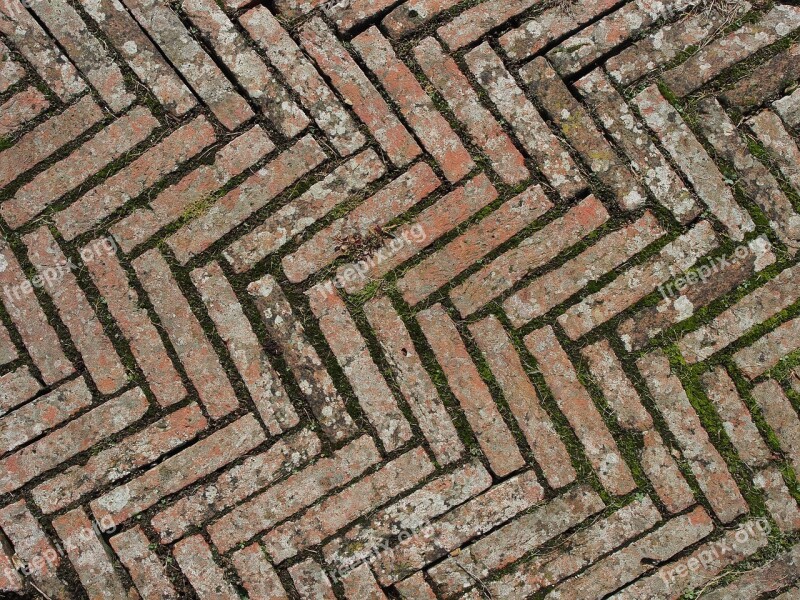 Bricks Diagonal Chevron Tiles Tiled