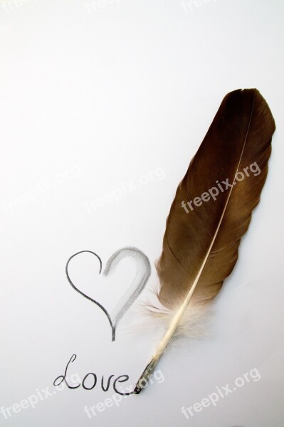 Love Heart Feather Charcoal Drawing Free Photos