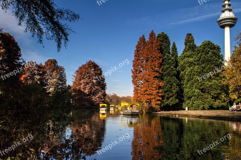 Autumn Colorful Fall Foliage Colorful Leaves Forest