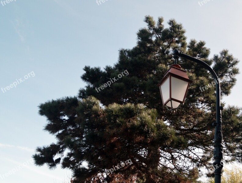 Floor Lamp Tree Summer Honfleur Normandy