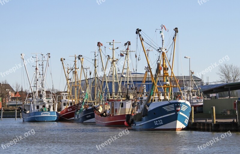 Shrimp Cutter Port Fishing Port Husum