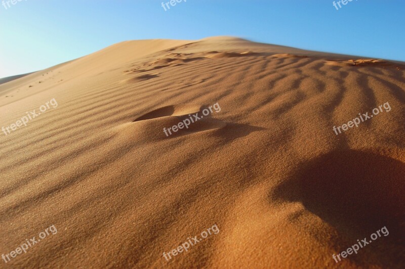 Sand Desert The Background The Sand Dunes Traces