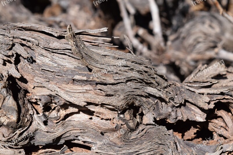 Background Wood Structure Texture Rauh