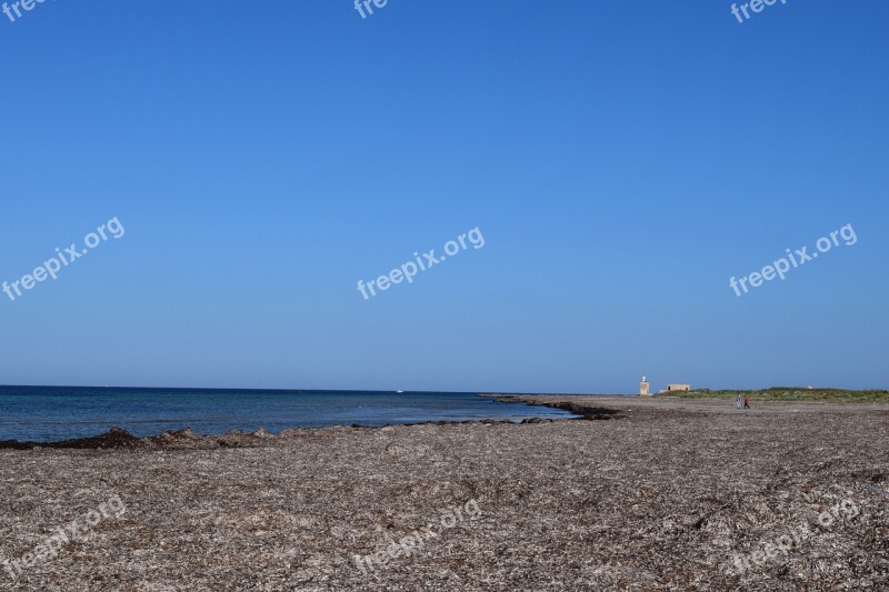 Beach Coast Sea Mediterranean Seaweed