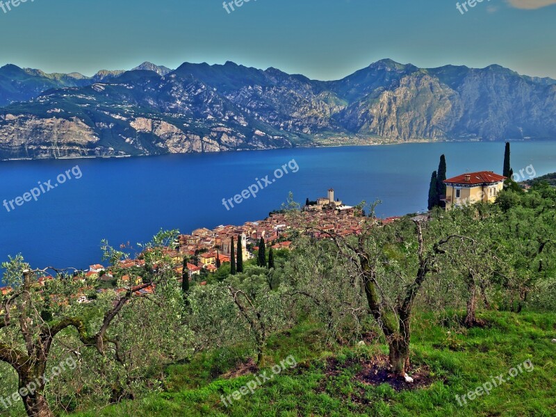 Malcesine Garda Mountains Olive Trees Panorama