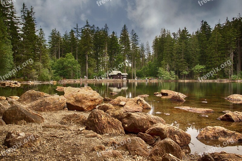 Black Lake Lake Forest Water Nature