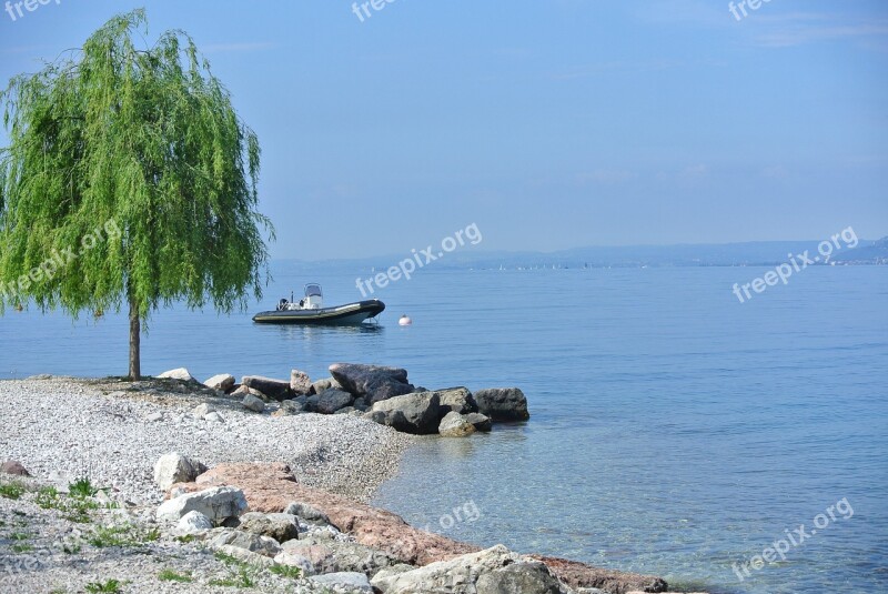 Garda Beach Lake Tree Lonely