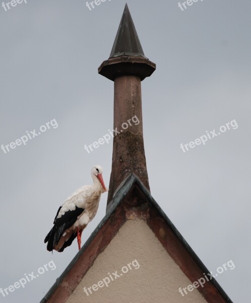 Bird Stork Roof Chimney Black