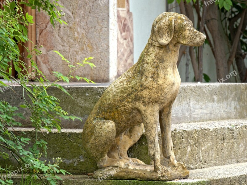 Initially Dog Input Stairs Stone Figure Figure