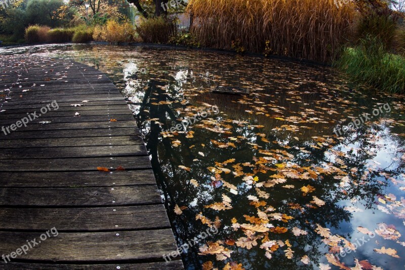 Autumn Water Leaves Bridge Water Reflection