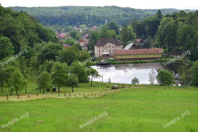 Landscape Gondola Pond Forest Nature Thuringia Germany