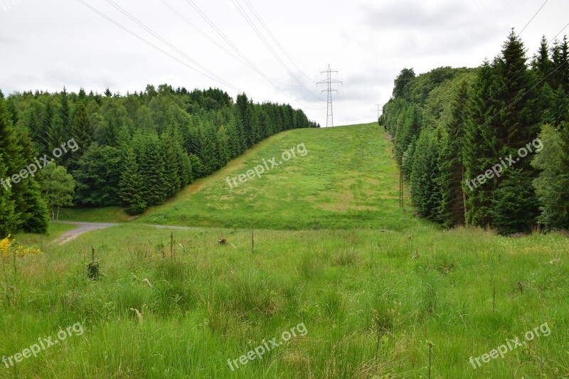 Green Band Wide Landscape Nature Golden Cut