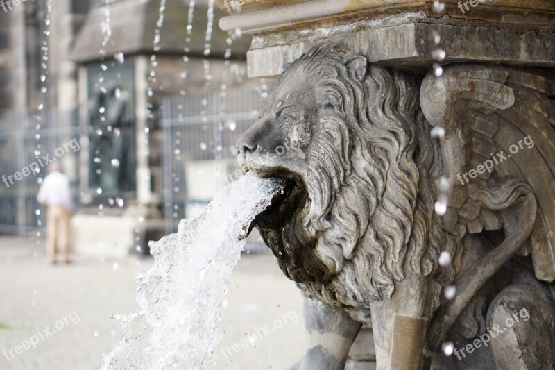 Lion Water Gargoyle Fountain Water Fountain