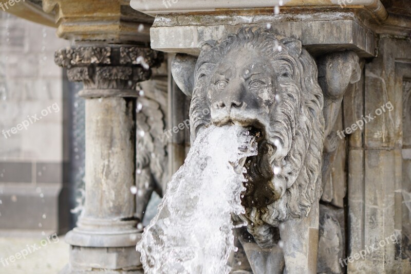 Lion Water Gargoyle Fountain Water Fountain