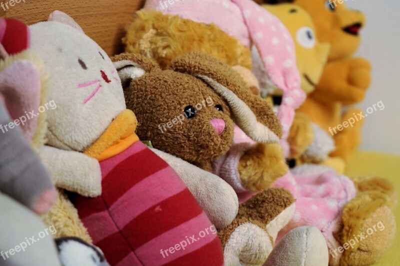 Soft Toys Stuffed Animals Soft Toy Toys Teddy