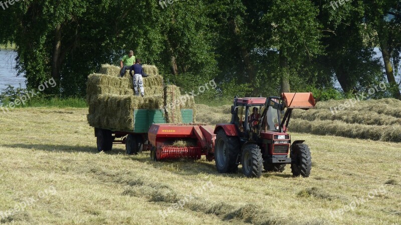 Tractors Agriculture Tractor Hay Cattle Feed