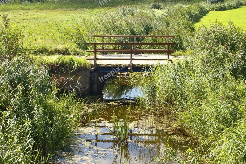 Stream Bridge Meadow Lane Scrubs