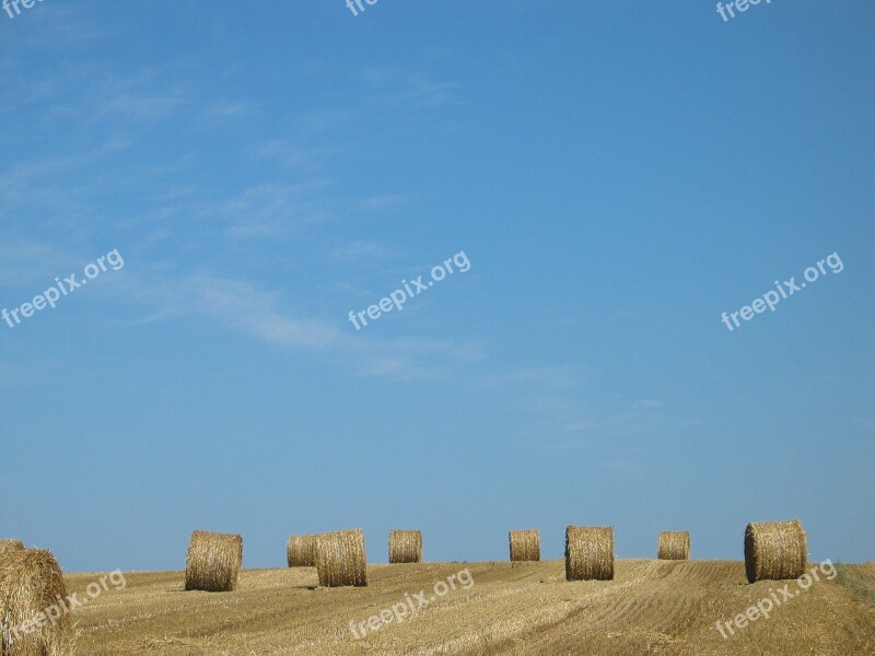 Straw Straw Bale Role Harvest Agricultural