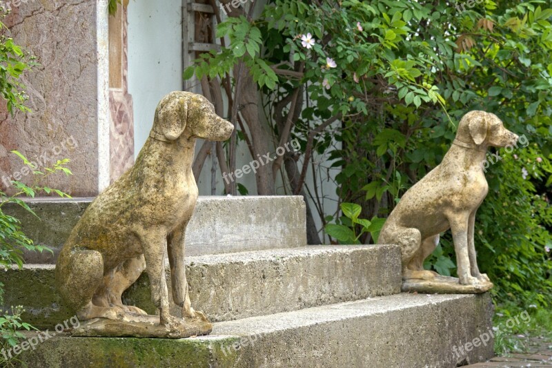 Initially Dog Input Stairs Stone Figure Figure