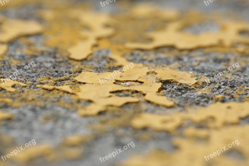 Yellow Asphalt Stains Abstract Color