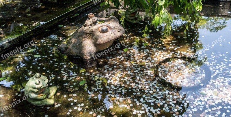 Pond Money Make Wish Water Nature