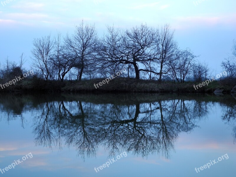 Tree Reflection Water Pond Forest