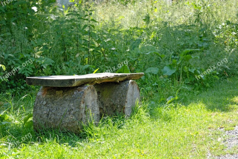 Seat Wooden Bench Nature Bank Bench