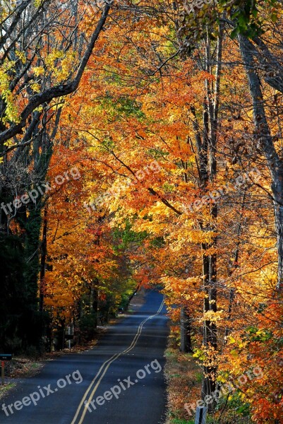 Country Road Autumn Fall Landscape Rural