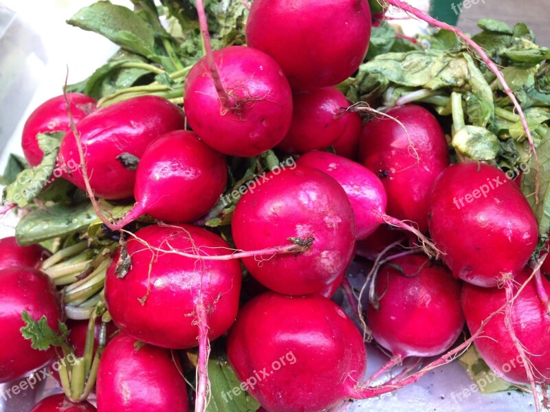 Radishes Food Nutrition Free Photos