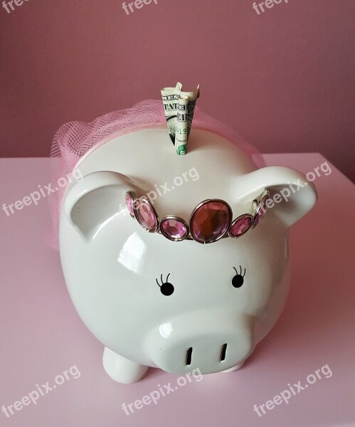 Piggy Bank Pig Piggy Pink Savings