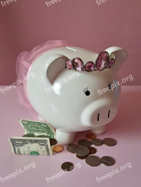 Piggy Bank Pig Piggy Pink Savings