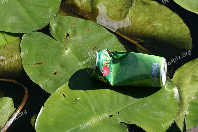 Pollution Waterlily Tin Ditch Free Photos